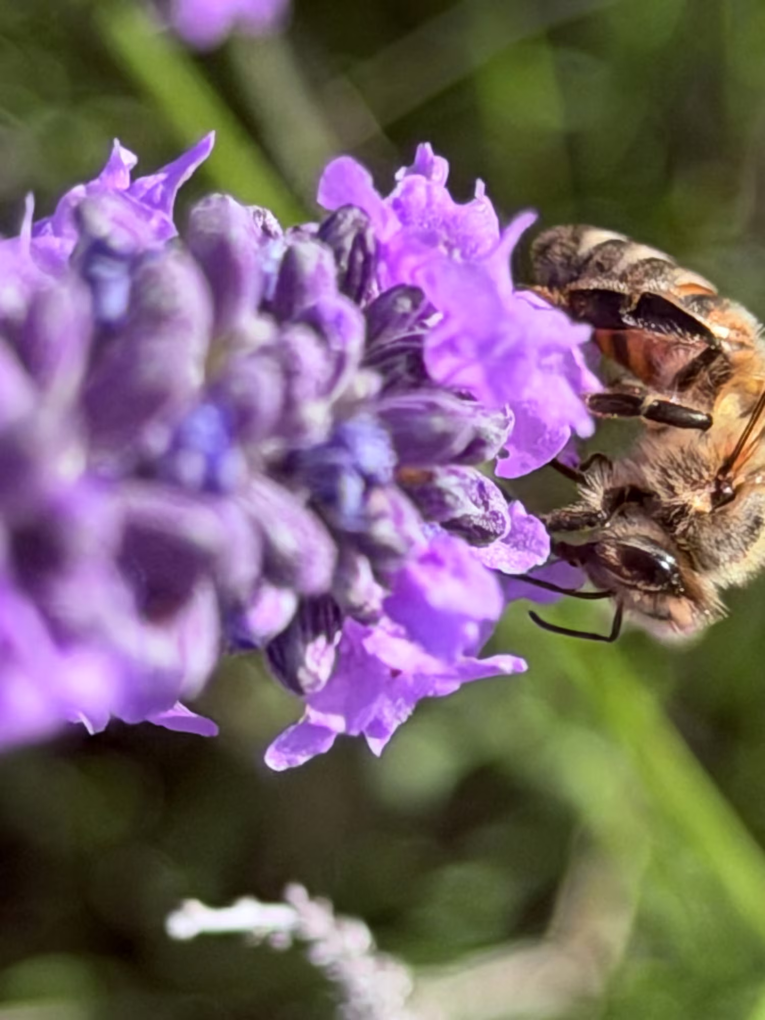 Se ressourcer en Haute-Provence