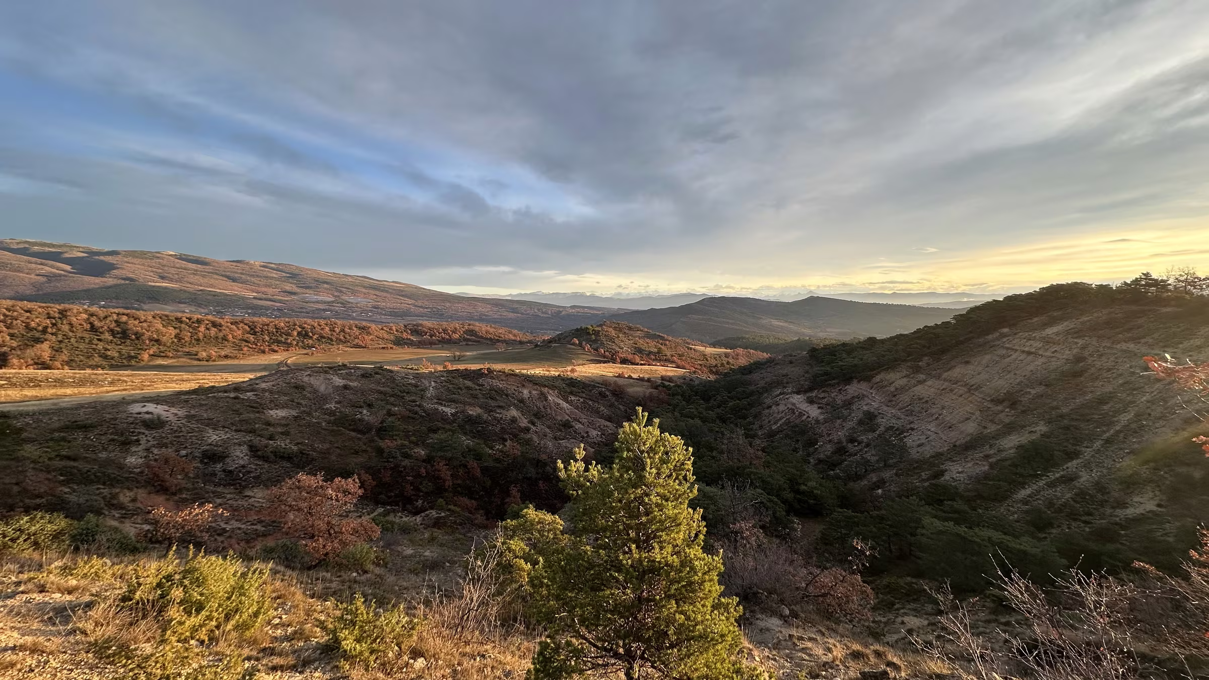 Montagne de Lure — Haute-Provence